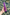 Midnight Pulse Textured Rabbit Vibrator