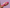Promotion banner