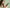 Promotion banner