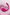 SyncWave App-Controlled Dual Vibrator