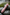Blush Aura Luxury Wand Vibrator